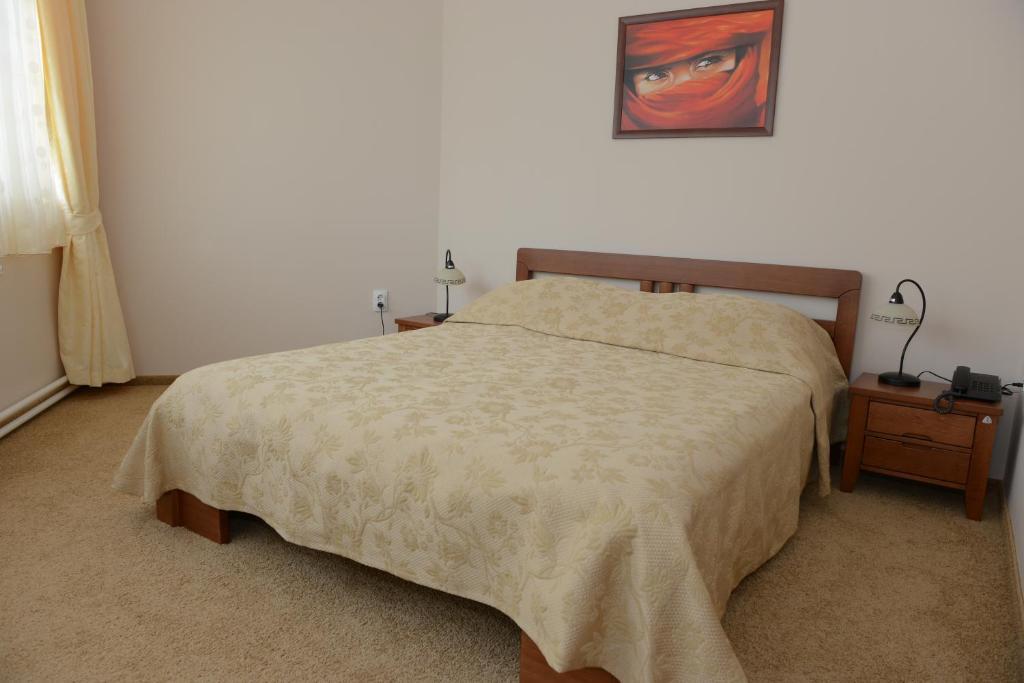 Motel Citadela 023 Zrenjanin Rum bild